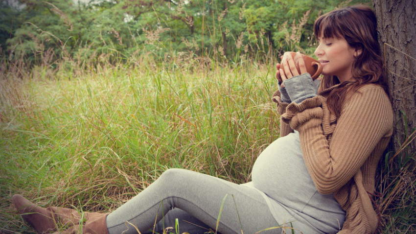 Hamilelikte yolculuk yapmak Hamilelikte seyahat yapmak