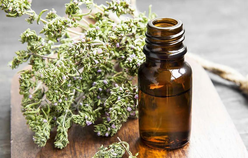 Hamilelikte vajinal mantar sirke tedavisiyle geçer mi