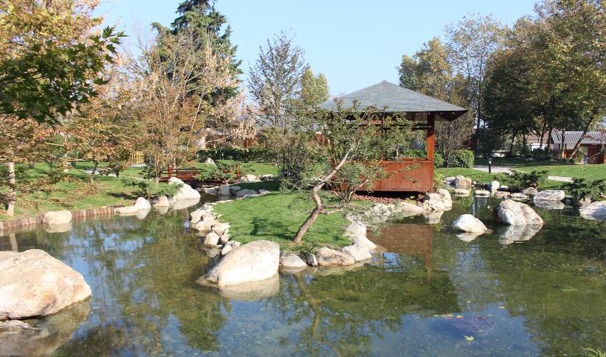 Japon Bahçesi