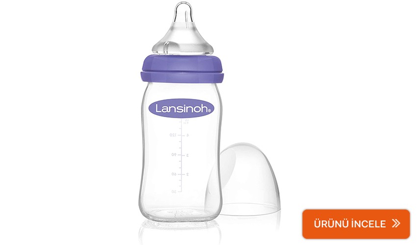 lansinoh biberon