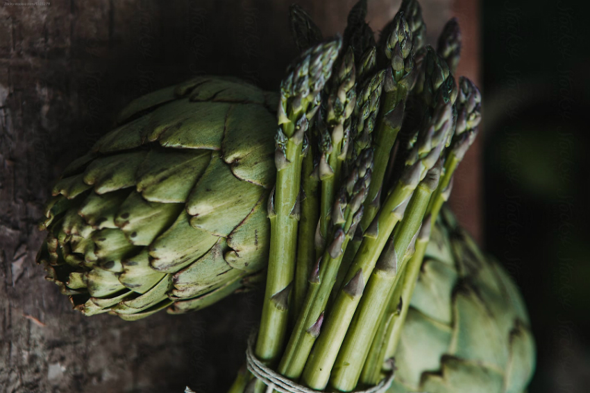 enginar hangi mevsim