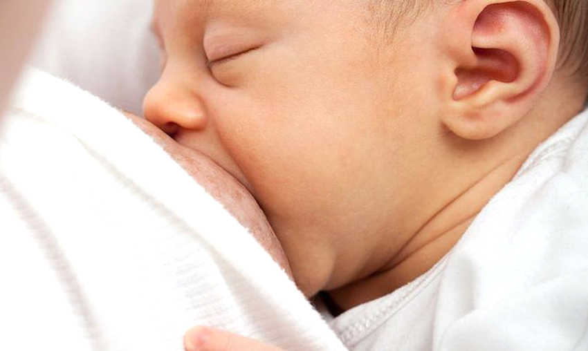 Bebeği memeden kesmenin yolları memeden kesme yöntemleri