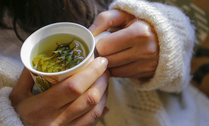 Meryem Ana otu doğumda nasıl kullanılır