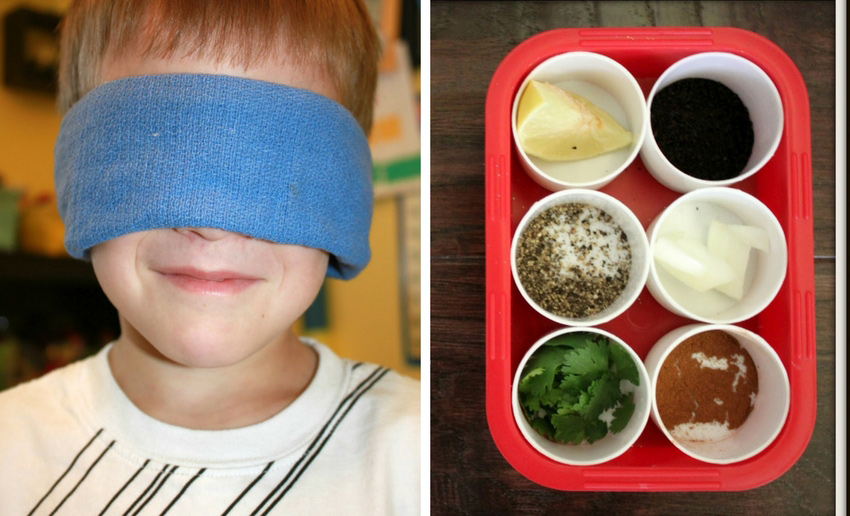 okul öncesi eğitsel oyunlar okul öncesi eğitsel oyunlar koku testi