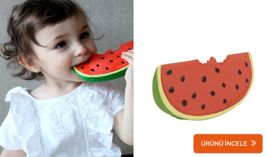 Oli&Carol Diş Kaşıyıcı