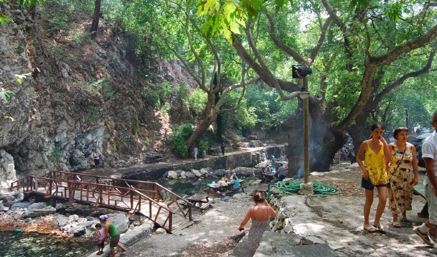 sasalı kent ormanı