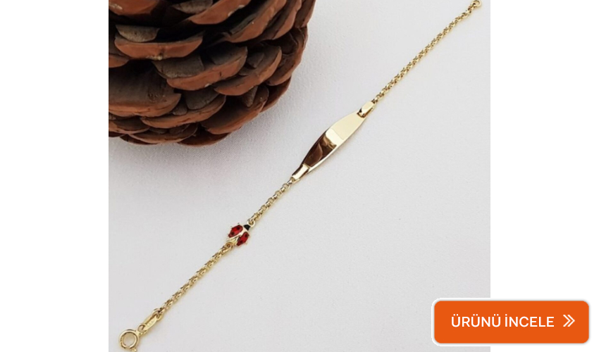 Uğur böcekli bebek künyesi