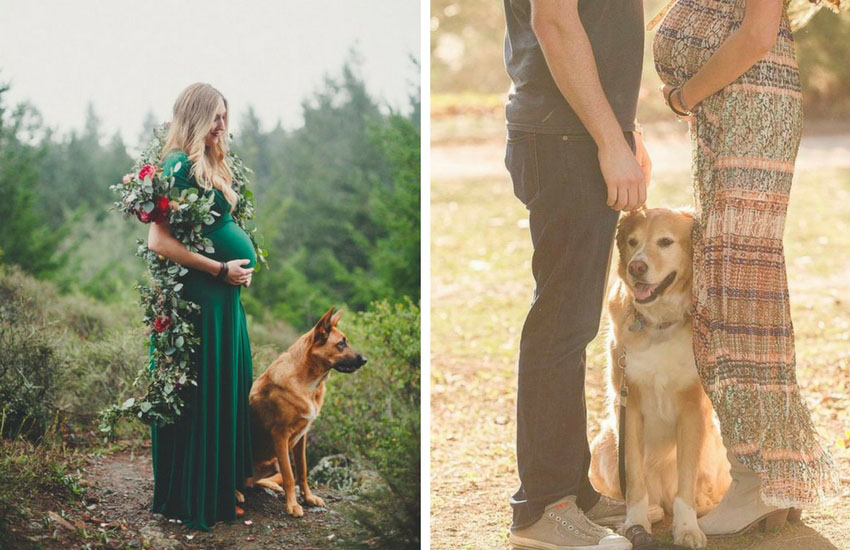 yaratıcı hamile çekimleri yaratıcı hamilelik çekimleri