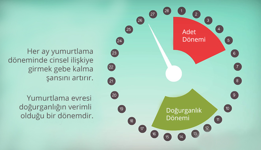 Ne zaman hamile kalınır