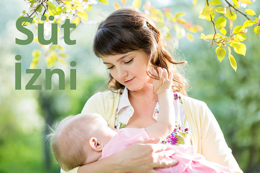Süt İznimi Nasıl Kullanabilirim?
