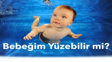 Bebekler Nasıl Yüzme Öğrenir?